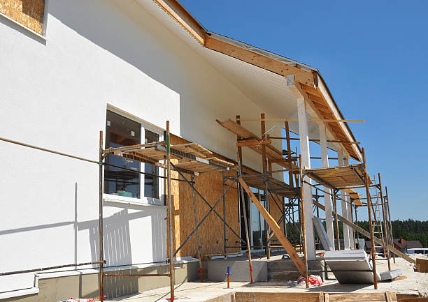 Best Commercial Mold Inspection  in Chisago City, MN