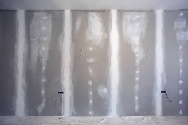 Best Biohazard Mold Removal  in Chisago City, MN